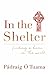 In the Shelter: Finding a Home in the World by Pádraig Ó Tuama