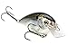 Strike King KVD 1.5 Square Bill Crankbait, Natural Shad