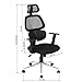 Ergonomic Office Chair Mesh Computer Desk Chair High Back Swivel Task Executive Chairs with Lumbar Support Adjustable Backrest Headrest Armrest Seat Height for Home Office Conference, Black TIKI-14