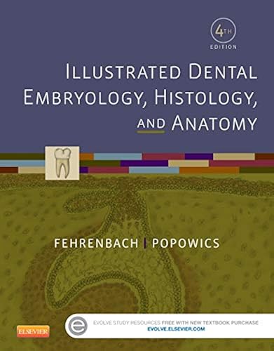 Download Illustrated Dental Embryology, Histology, and Anatomy PDF