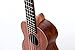 SANDNER 21 inch ukulele U-21, sapele top