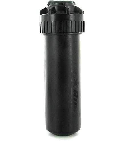 bird　レコード限定5000枚 41auppj+3VL._UF350,350_QL50_.jpg