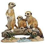 Design Toscano The Meerkat Clan Garden Statue