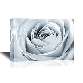 Floral White Rose Close Up