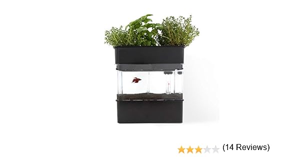 Sistema de Acuaponía para la cría de Peces y Cultivo de Plantas ...