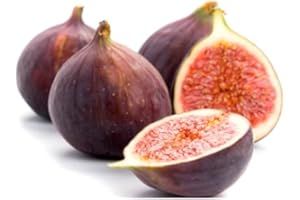 Kejora Fresh Black Mission Figs 3 packs (8 oz each) - Hard to Find