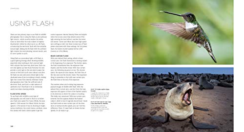 Wildlife Photography: An expert guide - Thumbnail 6