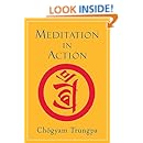 Meditation in Action