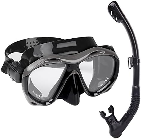 HeySplash Swimming Diving Snorkel Mask Set, Dual-Layer Tempered Glass Goggles Lenses + Dual Valve Mouthpiece + Purge Valve + Adjustable Snorkel Clips (Black)