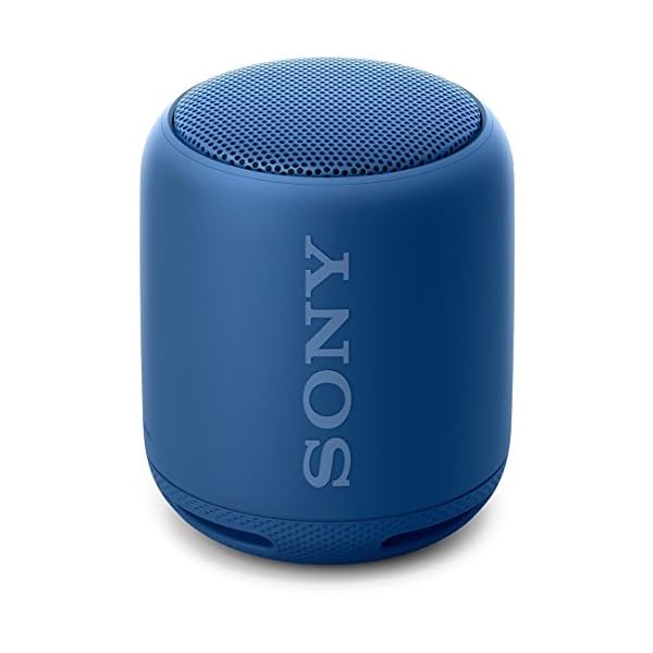 sony srs xb10 skipping