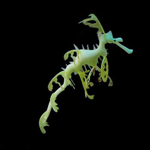 Leafy Sea Dragon S Yellow Aquarium Fish Tank Landscape Decoration Glow Simulation Animal Plants Ornament no.22
