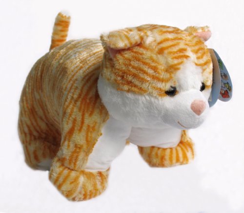 My Name Is Tabby Cat Pillow 18 Buy Online In Uae Toys And