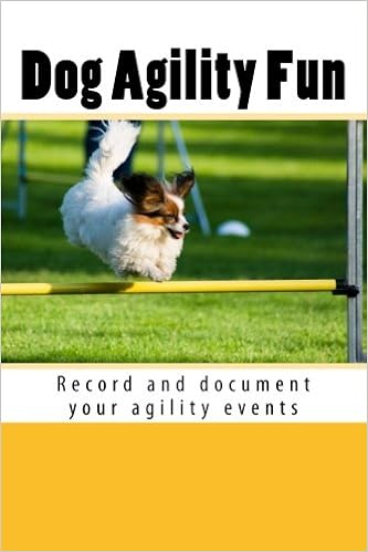 agility fun