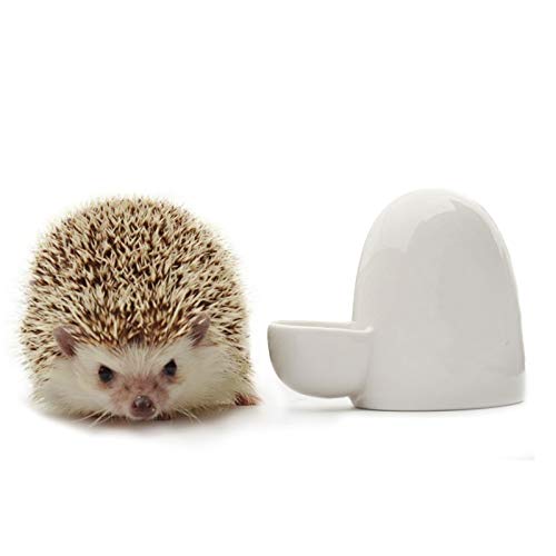 Creation Core 2 Pack Automatic Water Feeder Drinking Water Feeder Ceramics Slient Pet Water Feeder for Hedgehog Bird Hamster and Small Animal(Yellow and White)