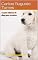 Livro noções básicas de cães para novados