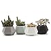 T4U Ceramic Succulent Planter Pots with Drainage Hole Set of 4, Matt Hexagonal Porcelain Handicraft as Gift for Mom Sister Aunt Best for Home Office Restaurant Table Desk Window Sill Decoration