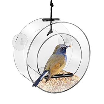 Amazon Com Popetpop Window Bird Feeder Clear Acrylic Round Bird