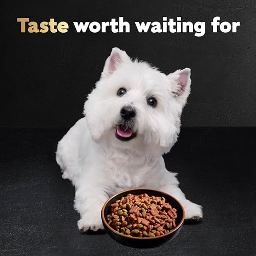 CESAR SMALL BREED DRY DOG FOOD, FILET MIGNON FLAVOR AND SPRING VEGETABLES GARNISH, 2.7 LB. BAG