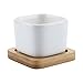 T4U 2 Inch Small White Succulent Planter Pots with Bamboo Tray Square Set of 2, Ceramic Succulent Air Plant Flower Pots Cactus Faux Plants Containers, White Modern Decor for Home and Office