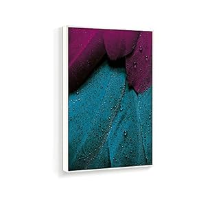 Framed Canvas Wall Art for Living Room, Bedroom Beautiful Features Canvas Prints for Home Decoration Ready to Hanging - 16x24 inches