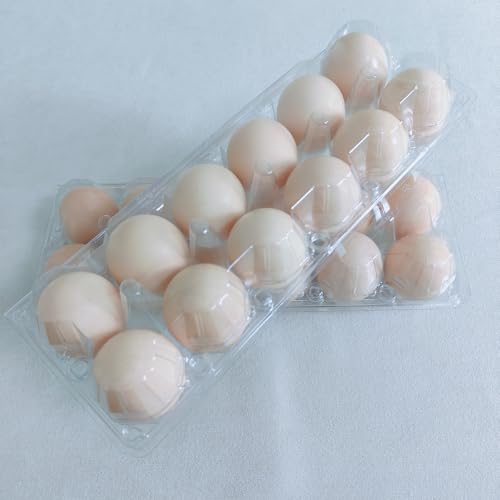 LSGENGXCY 100 piece Disposable Transparent Egg Cartons, 12 Plastic Egg Storage Containers, 2 Rows And 6 Columns of Empty Egg Cartons.2 * 6 (ZF-DH-2 * 6-100-1)