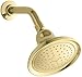 KOHLER 10391-AK-PB Devonshire Single-Function Showerhead, Single Spray Setting, 5-15/16