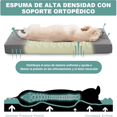 Muja Cama para Perro Grandes de Doble Cara, Cama Ortopédica para Perros con Almohadillas para Orejas Extraíbles y Parte Inferior Antideslizante, Adecuado para Casa para Perro, Pisos y Sofás