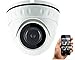 HDView 4MP Megapixel HD IP Network Camera WDR Motion Detection SD Card Support Wide Dynamic Range IR Cut Filter Infrared Eyeball Dome PoE ONVIF