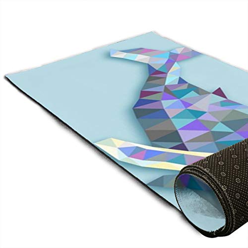 Triangle Whale Printed Area Rug Living Room Bedroom Rugs Home Runner Floor Office Soft Non Slip Washable Carpet,70'' X 24''