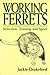 Working Ferrets Selection,Training and Sport by 