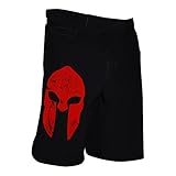Spartan Performance Cross-Training Shorts (RED/BLACK, 34)