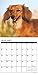 Just Mini Dachshunds 2017 Wall Calendar (Dog Breed Calendars)