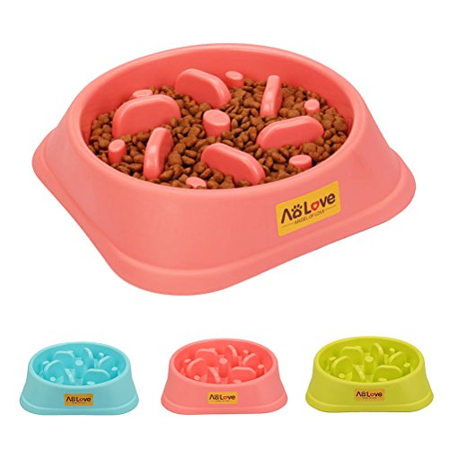 AoLove Slow Feeder Bowl Healthy Food Fun AntiChoke Pet Bowls for Dog