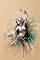Livro Dança das almas