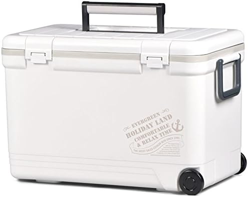 伸和(SHINWA) ホリデーランドクーラー33H 33H ホワイト