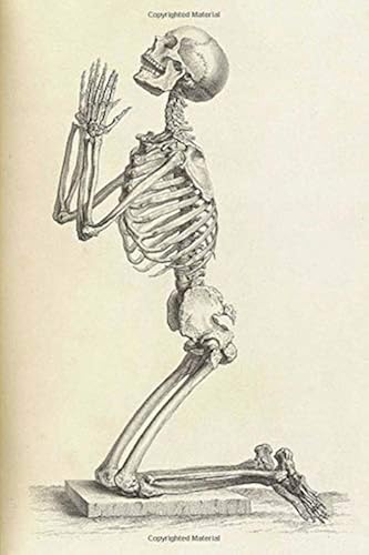 Download Skeleton Praying Journal: Classic Journal | 6 x 9 Notebook | 140 Pages | Blank Book | Horror | Prayer | Gratitude PDF