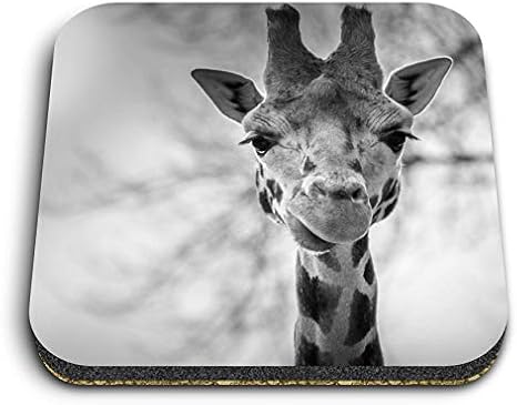 Destination 35102 - Imanes cuadrados de madera de densidad media