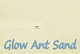 Ant Farm Refill Ant Sand: Glow-in-Dark, 2 1-pound Bags