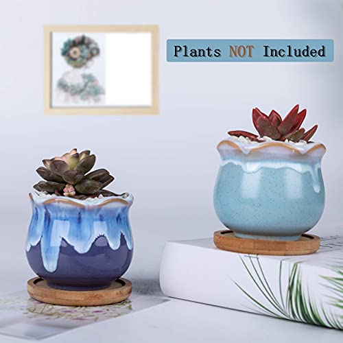 Ceramic Succulent Planters Garden Pots DAFFBOX 2.75 Inch Small