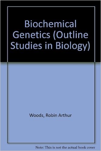 Fact file - 2019 entry