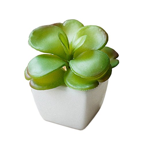 Battletter Mini Cute Artifical Simulation Plants Creative Home Succulent Plants Decoration (3)