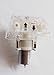 24v Dc Diy Dosing Pump Peristaltic Dosing Head with Connector for Aquarium Lab Analytic 450ml/min by Marine Color