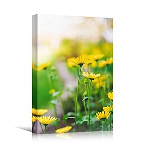 signwin Canvas Wall Art Yellow Fields Bohemian Colorful...