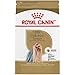 Royal Canin Breed Health Nutrition Yorkshire Terrier Adult Dry Dog Food, 2.5-Pound primary