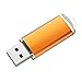 RAOYI 10 Pack 16GB USB Flash Drive USB 2.0 Memory Stick Bulk Thumb Drive Pen Drive Jump Drive-Orange