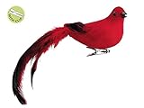 Northlight Seasonal Nature's Glow Feathered Red Song Bird Clip-On Christmas Ornament, 3