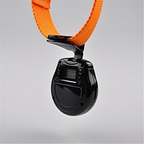 6 Digital+Collar+Camera+Recorder+Monitor