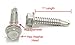 Bolt Dropper No. 12 x 1 Stainless Hex Washer Head Self Drilling Screws - 100 pc - 410 Stainless Steel Self Tapping TEK Screws, No. 3 Point, Plain Finish by Bolt Dropper