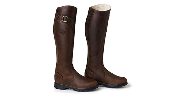 mountain horse spring river