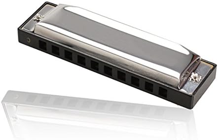 New Silver Metal Harmonica 10 Holes C Key Harmonica Children Mouth Organ Gift Toys Children Music Teaching -Blue Screen LLC